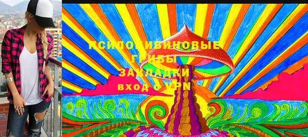 стаф Покачи